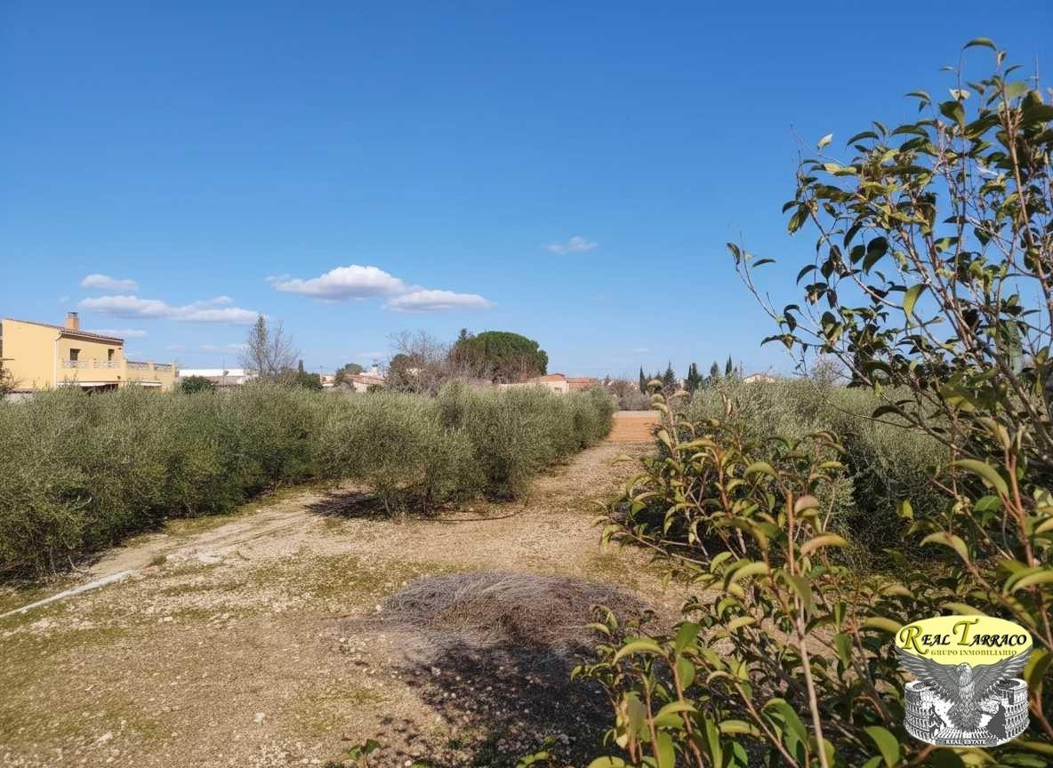 TERRENO URBANO EN VENTA EN URBANIZACIÓN SERRADALT
