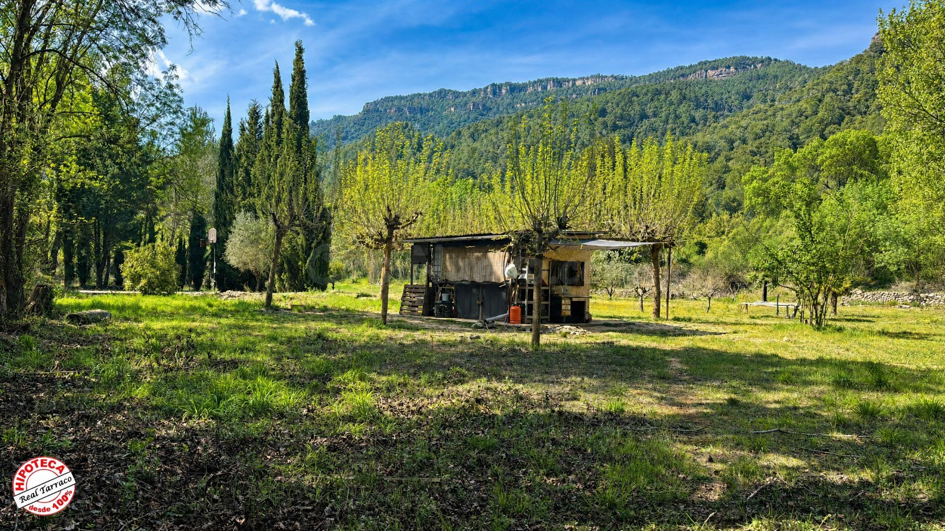 El rincón que buscabas en las Montañas de Prades: 3 fincas a la venta
