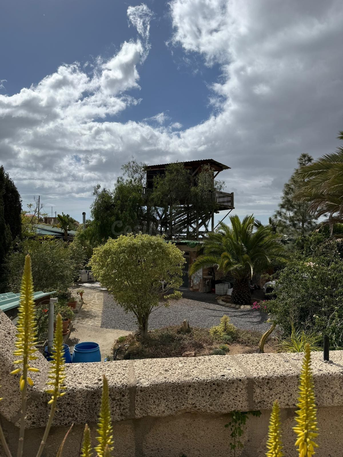 FINCA VERDE BONITA