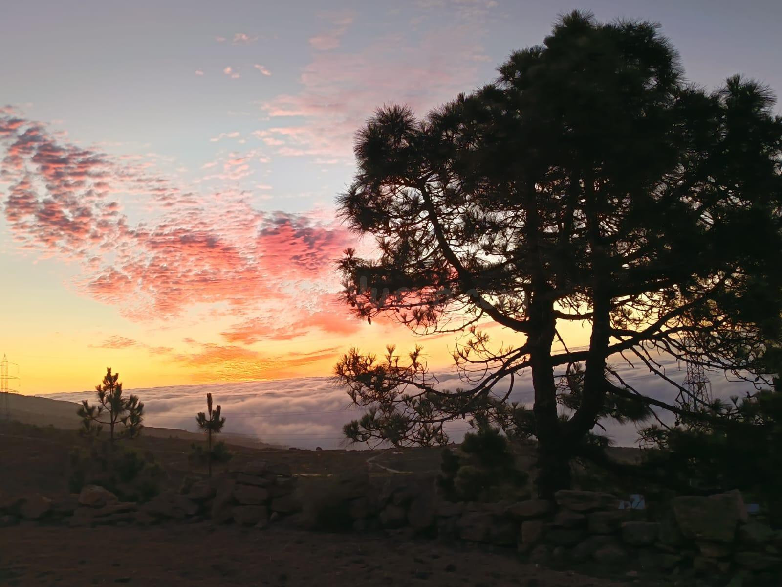 Santuario ecológico entre pinos, mar y estrellas