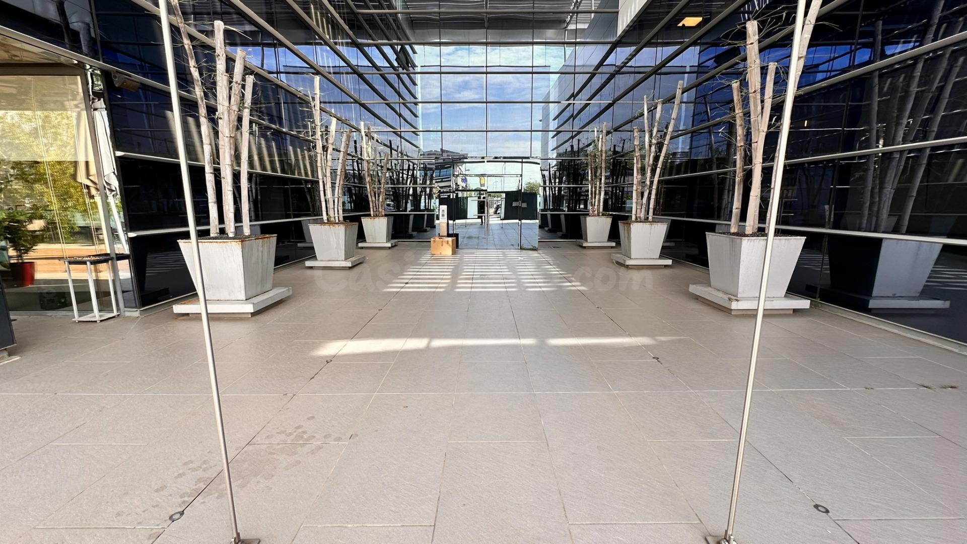Oficina 300m² en alquiler - Villaviciosa de odon