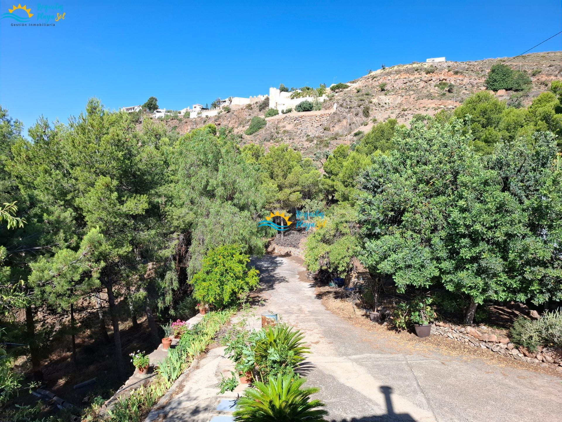 Finca con vivienda, naturaleza y vistas a la sierra y al mar