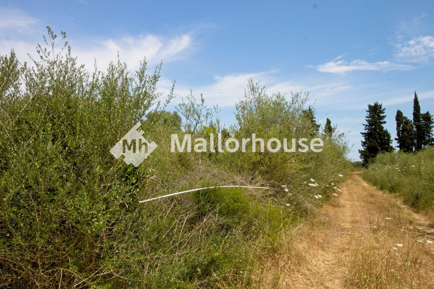 Finca rústica 1m² en venta - Centro