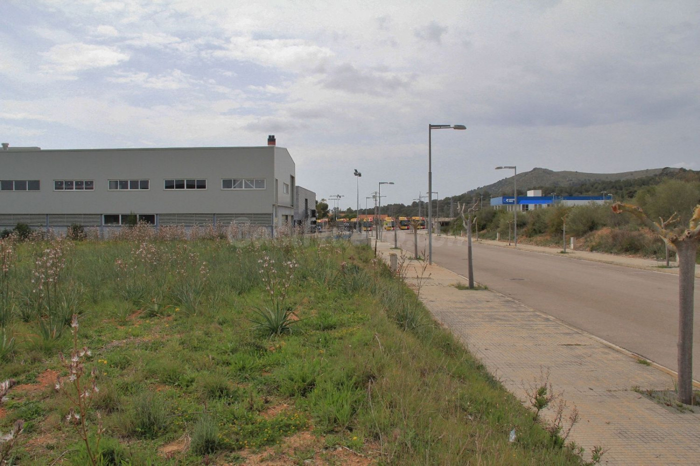 Terreno industrial en venta - Alcudia