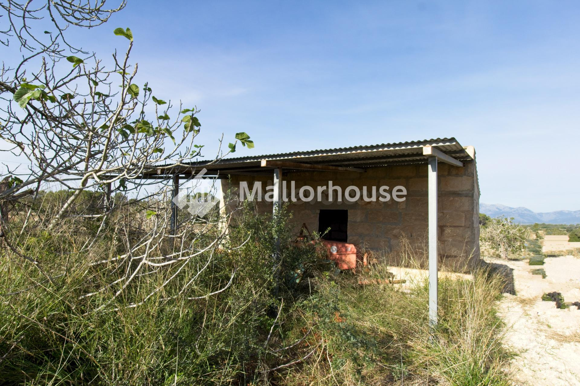 Terreno urbanizable en venta - Llubi