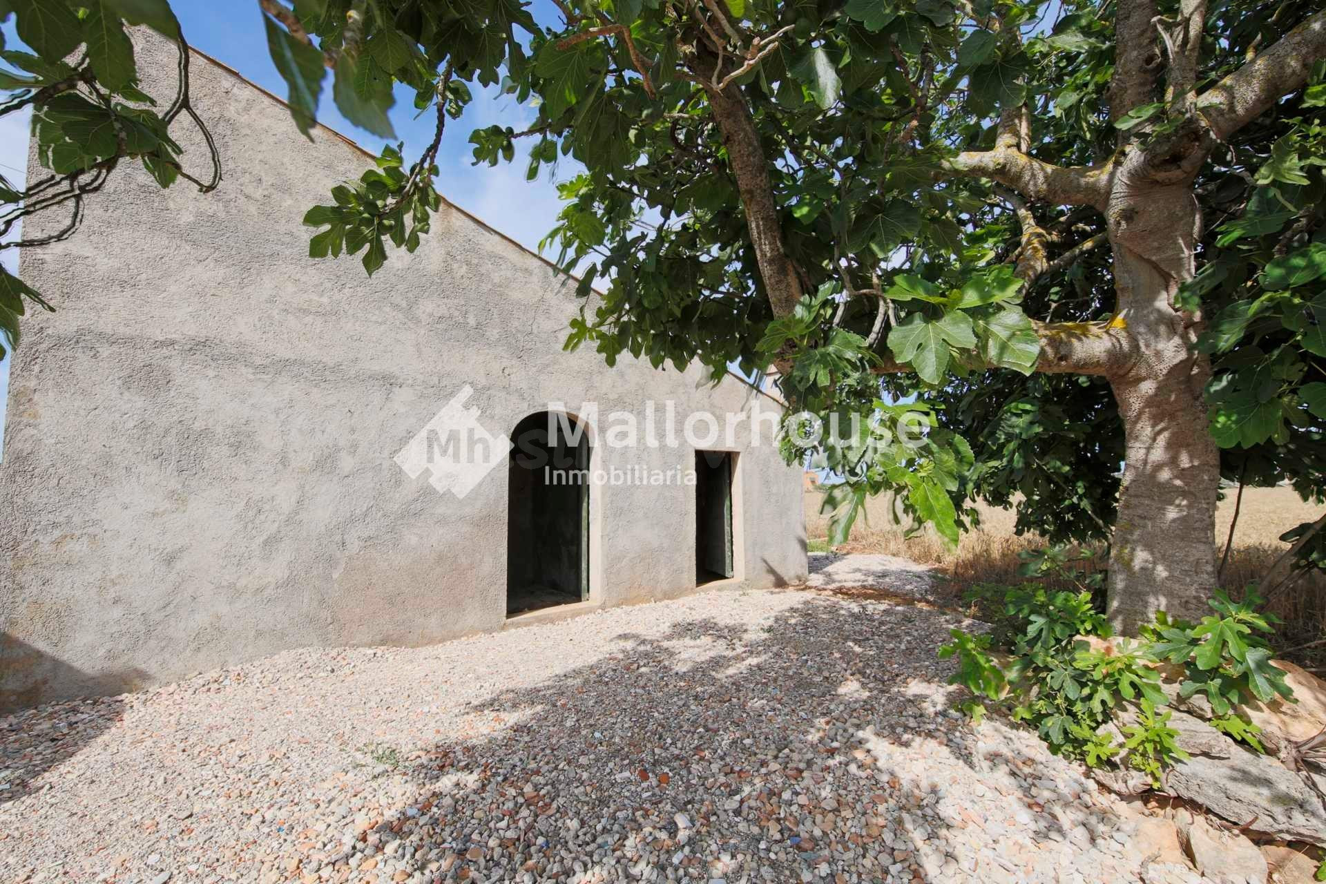 Terreno urbanizable en venta - Son serra