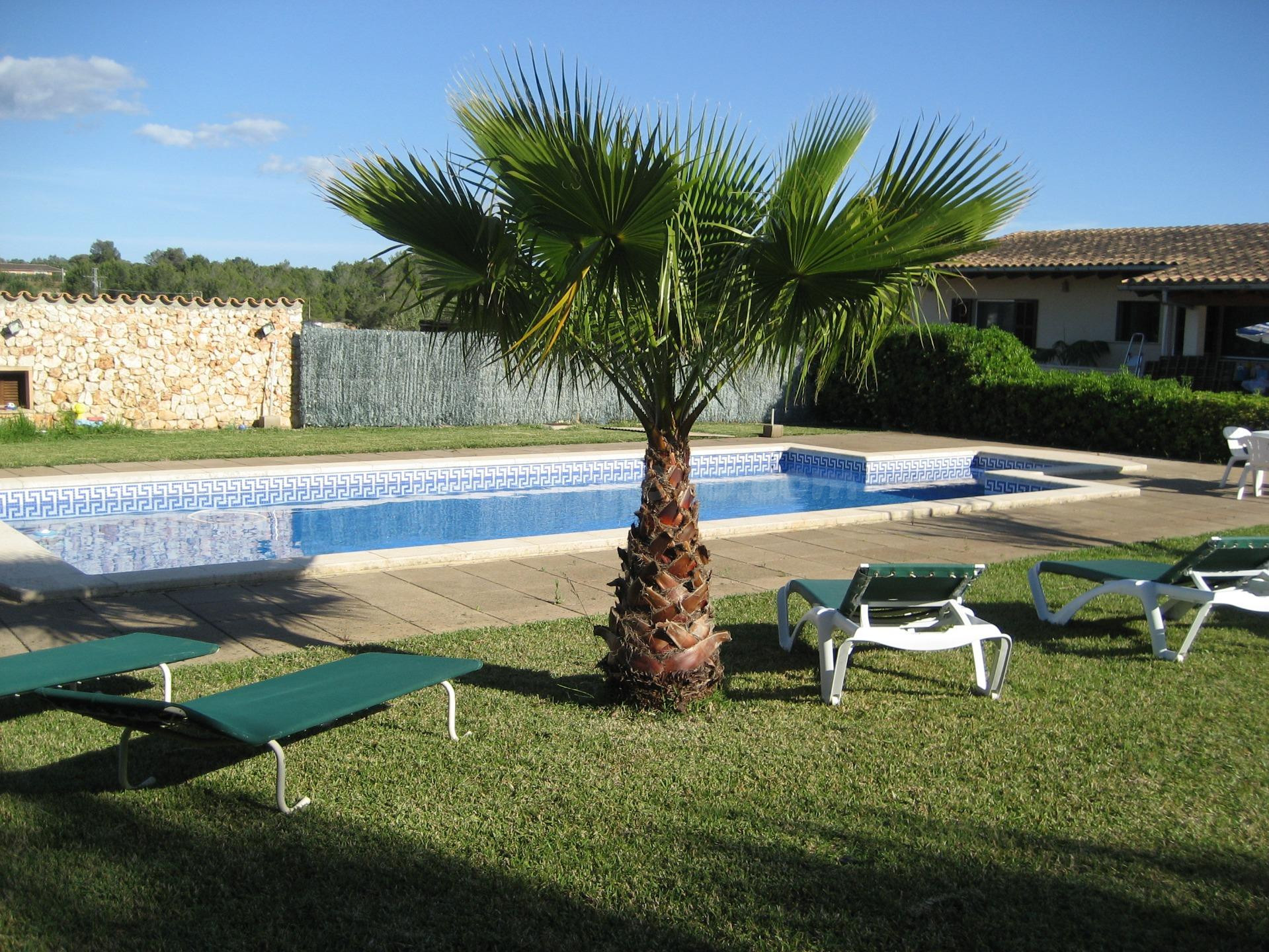 Villa de Lujo 4 habitaciones 250m² en alquiler - Muro
