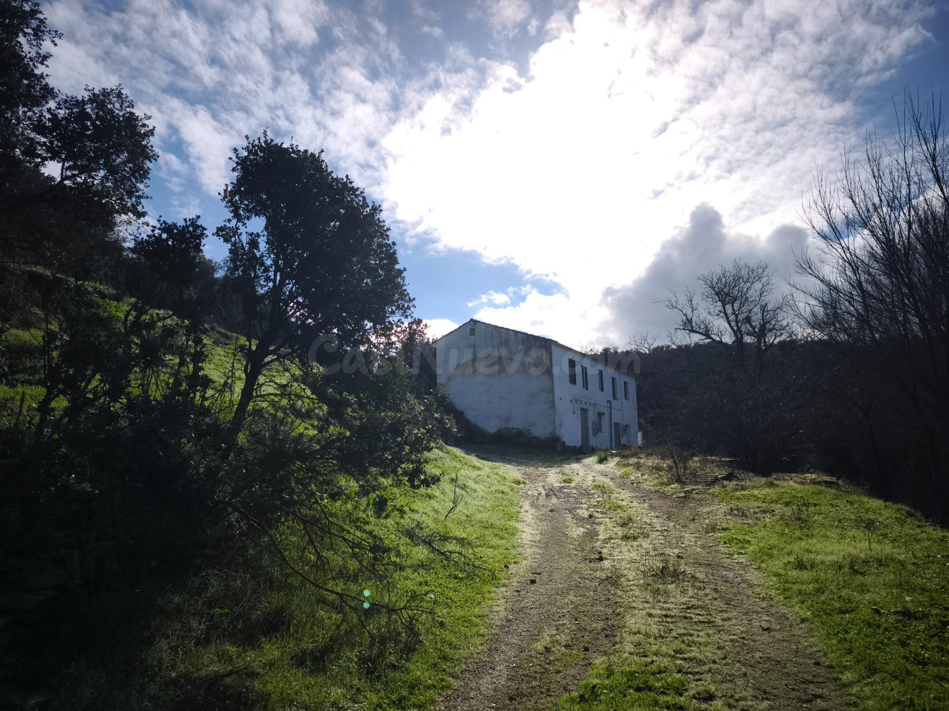 Finca rústica con arroyo y vivienda tradicional en Setenil de las Bodegas (Cádiz)