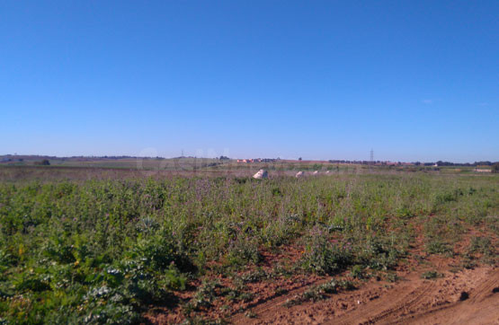 Parcela en venta - La Paz - Montecarmelo