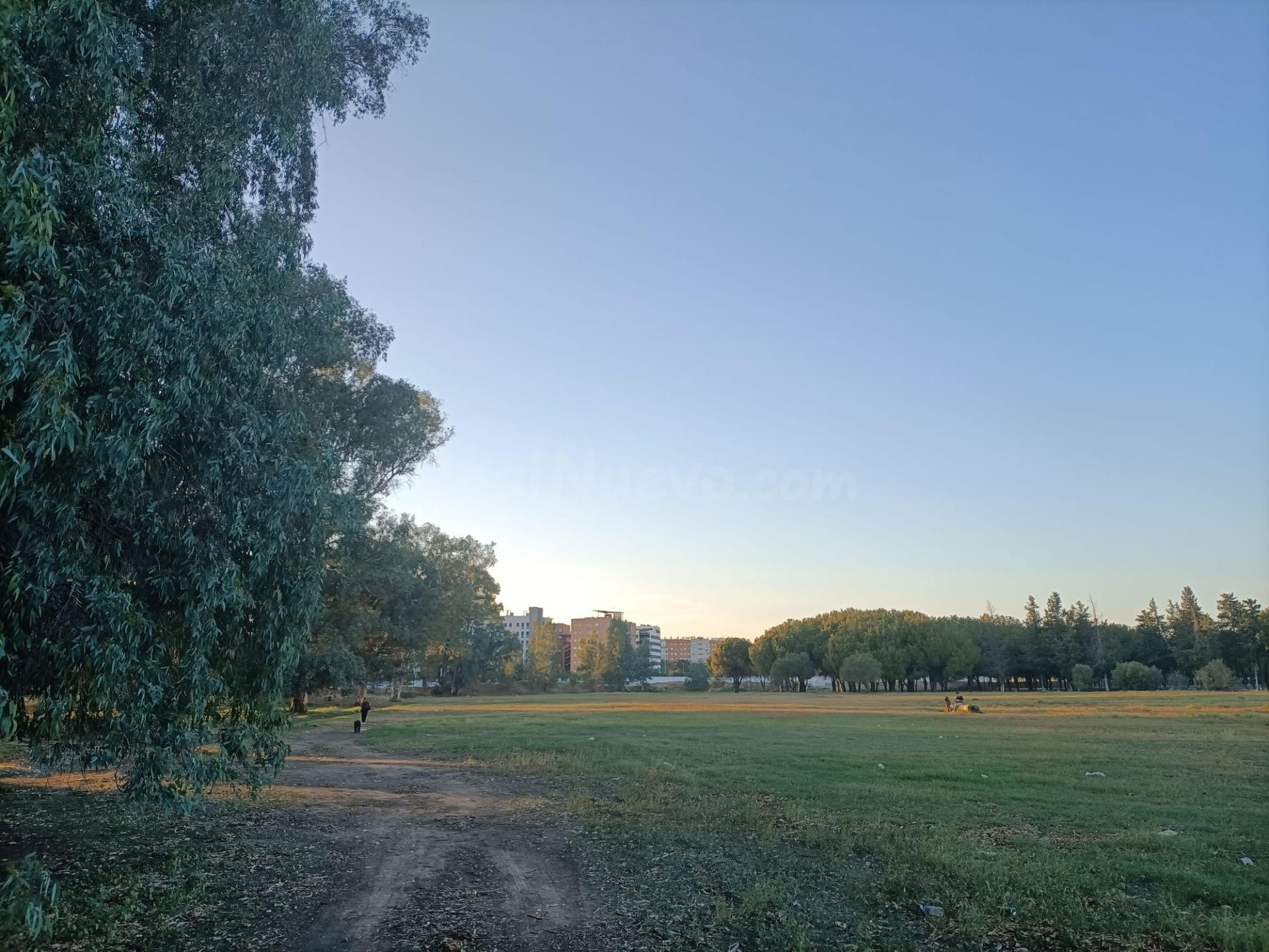 Venta de Suelo Urbanizable Residencial en HACIENDA DE TIERRA CALMA Sevilla (Sevilla)