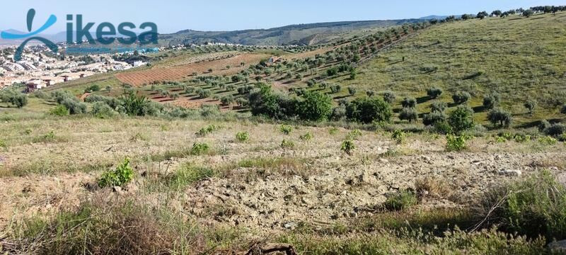 Venta de 21 Suelos Urbanizables  Residenciales en Huétor Vega (Granada)
