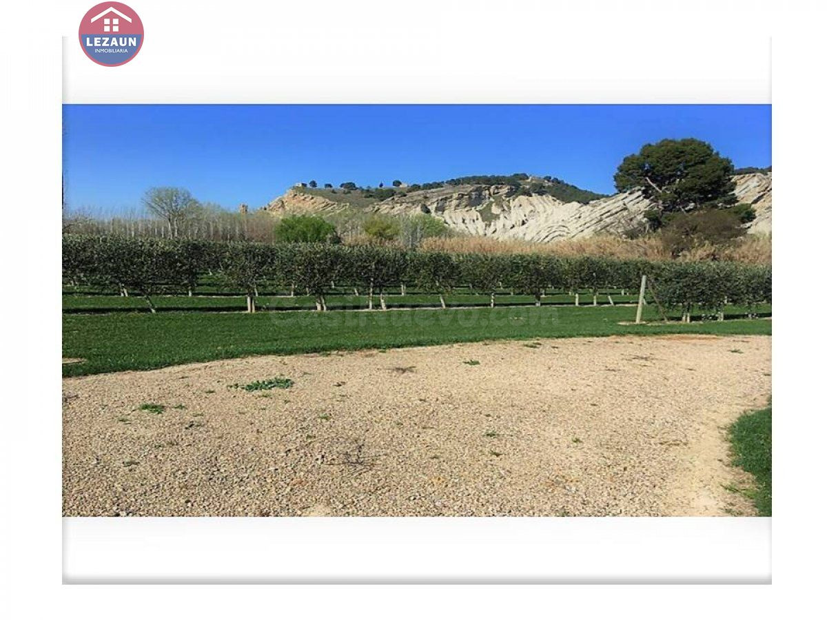 Finca Rústica en Peralta