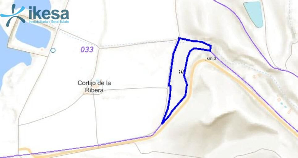 Venta de Finca Rústica "Hormilleros" - Sanlúcar la Mayor (Sevilla)