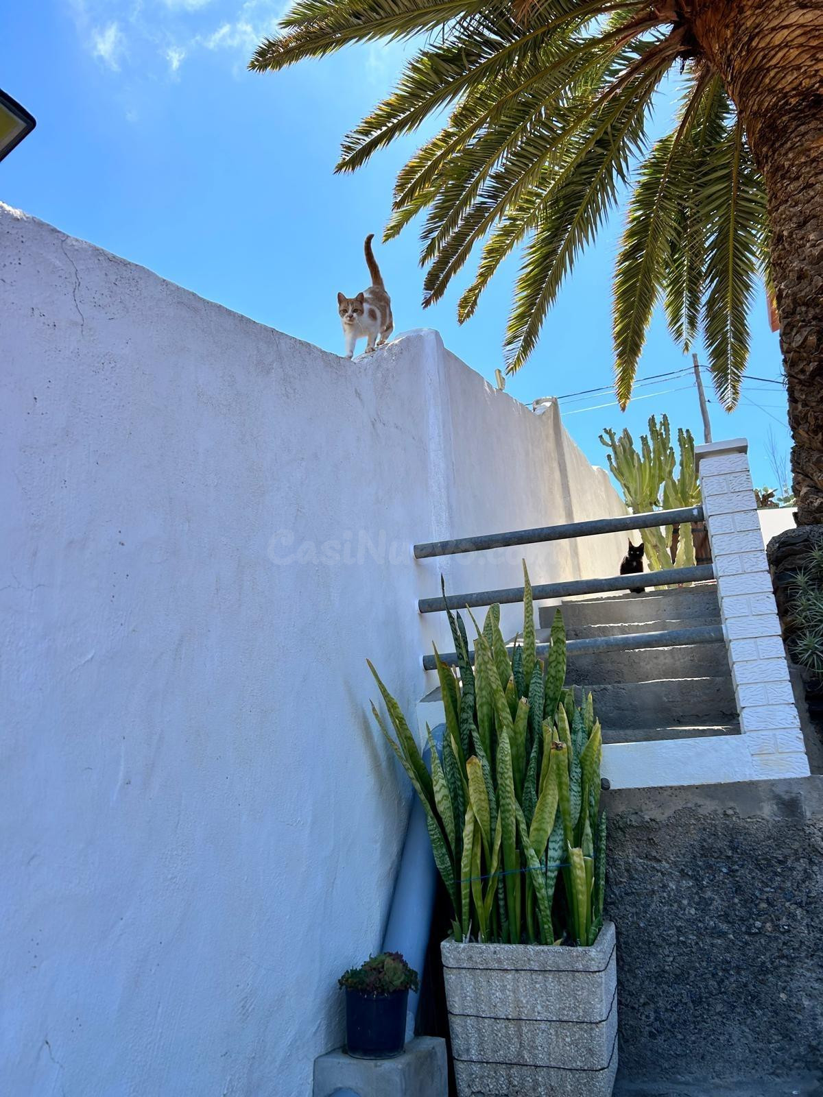 Canarias Paradise Real Estate - Casa independiente con vistas al mar y parcela de 1.800 m2 en Buenavista, Gáldar