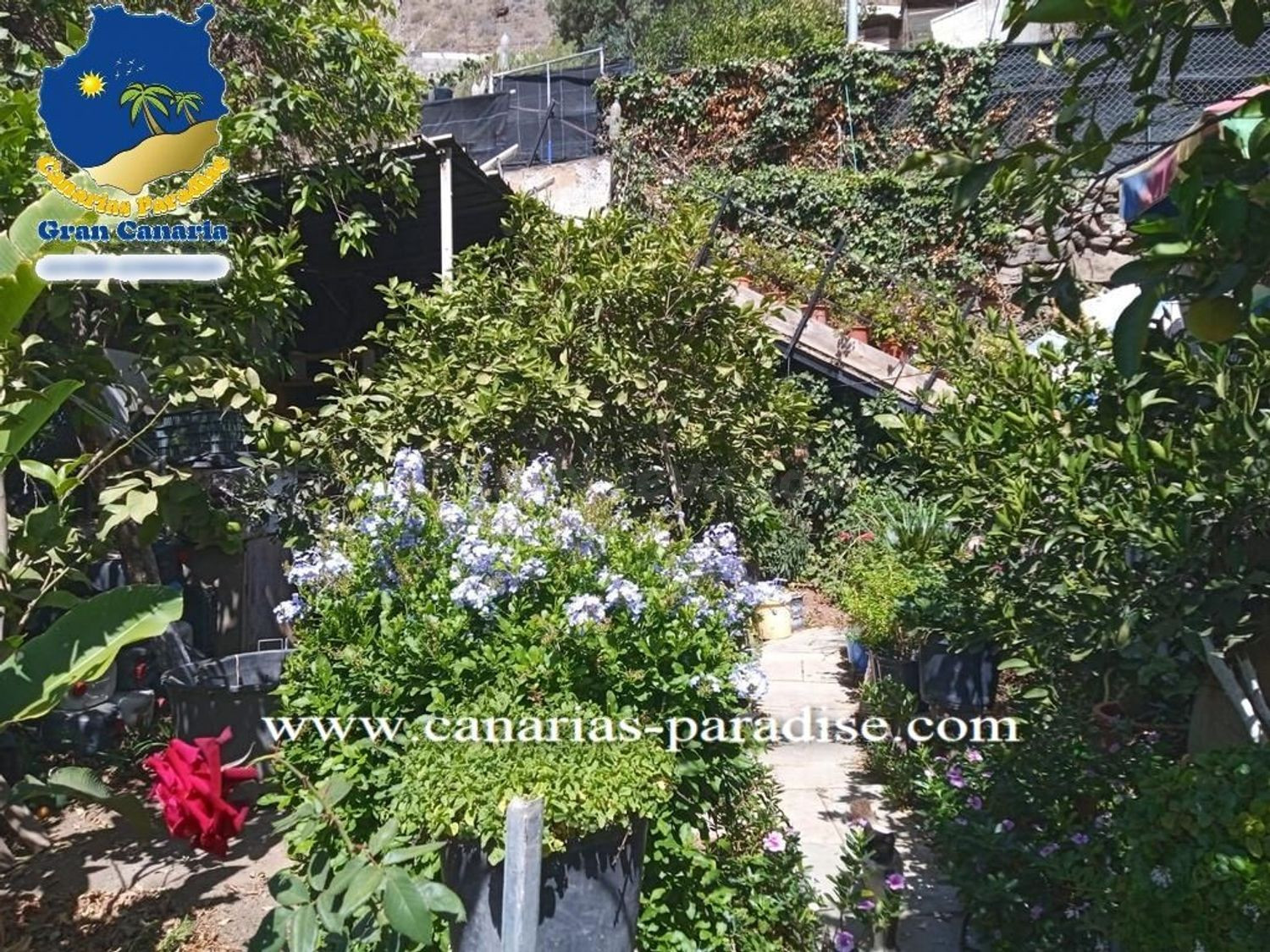 Canarias Paradise Real Estate - Casa independiente de 3 dormitorios con jardín privado y azotea en Mogán, Gran Canaria
