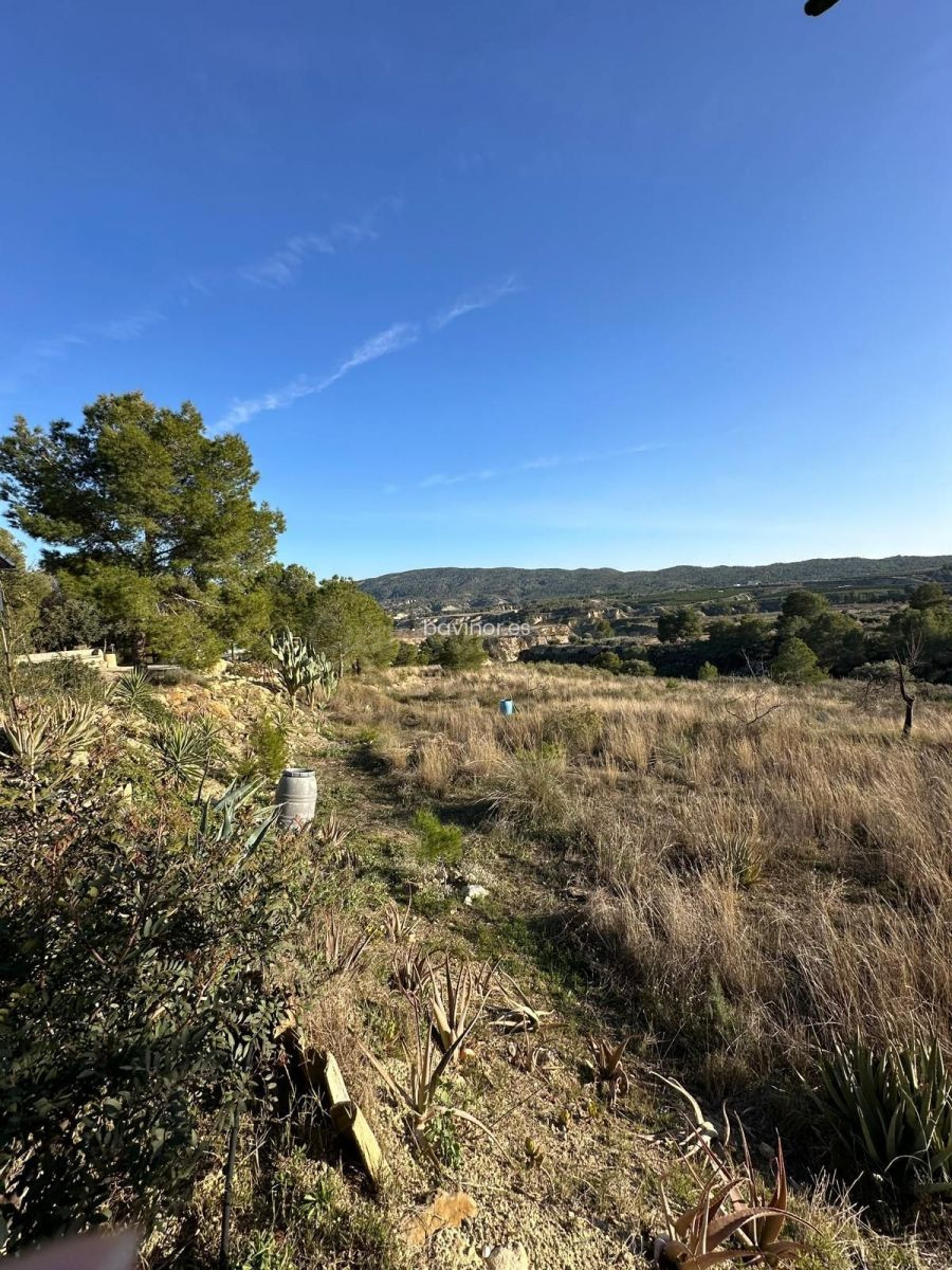 PARCELA RÚSTICA EN GEBAS – PLENA NATURALEZA