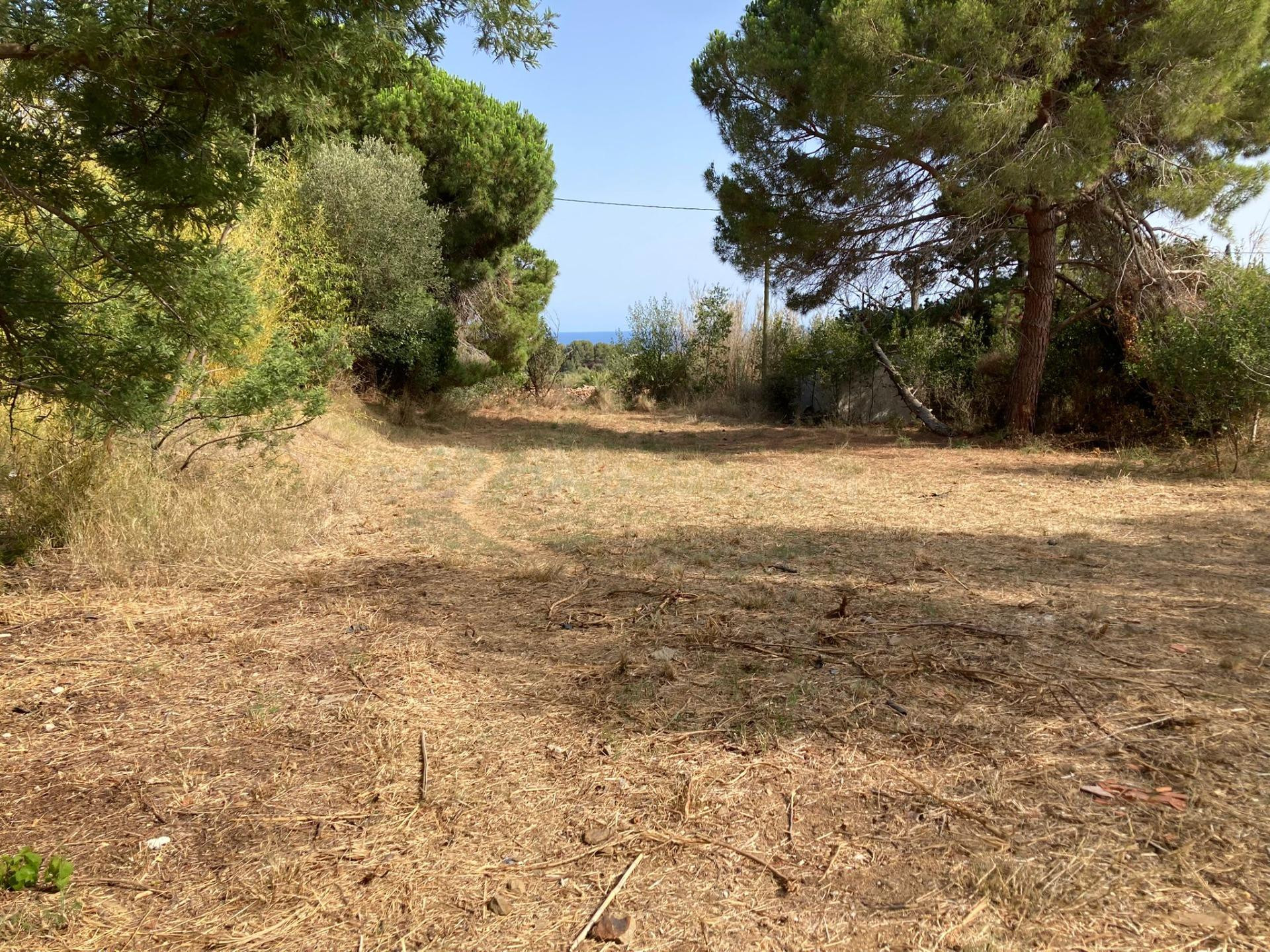 Finca rústica con suministros en Pineda de Mar