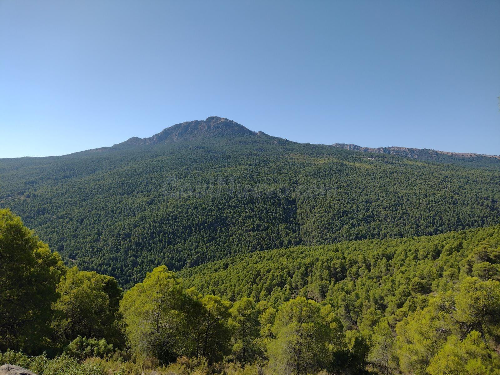 EXTRAORDINARIA FINCA RÚSTICA DE MÁS DE 81 HECTÁREAS EN MORATALLA (MURCIA)