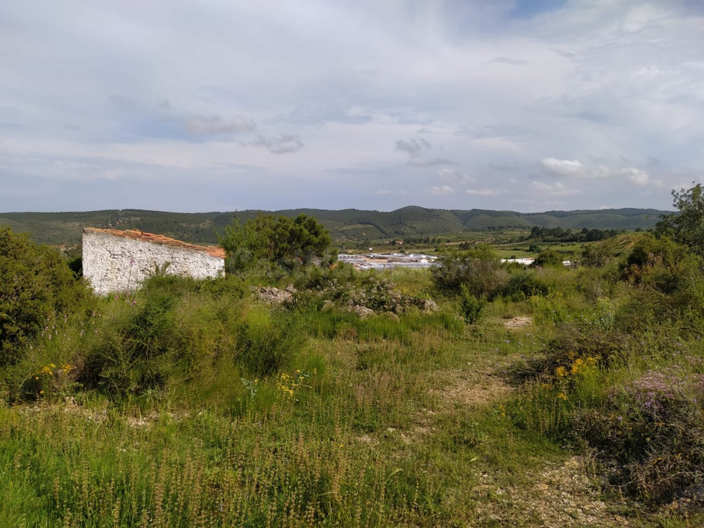 Parcela Industrial de 1.980 m2 en Les Coves de Vinroma - foto 2