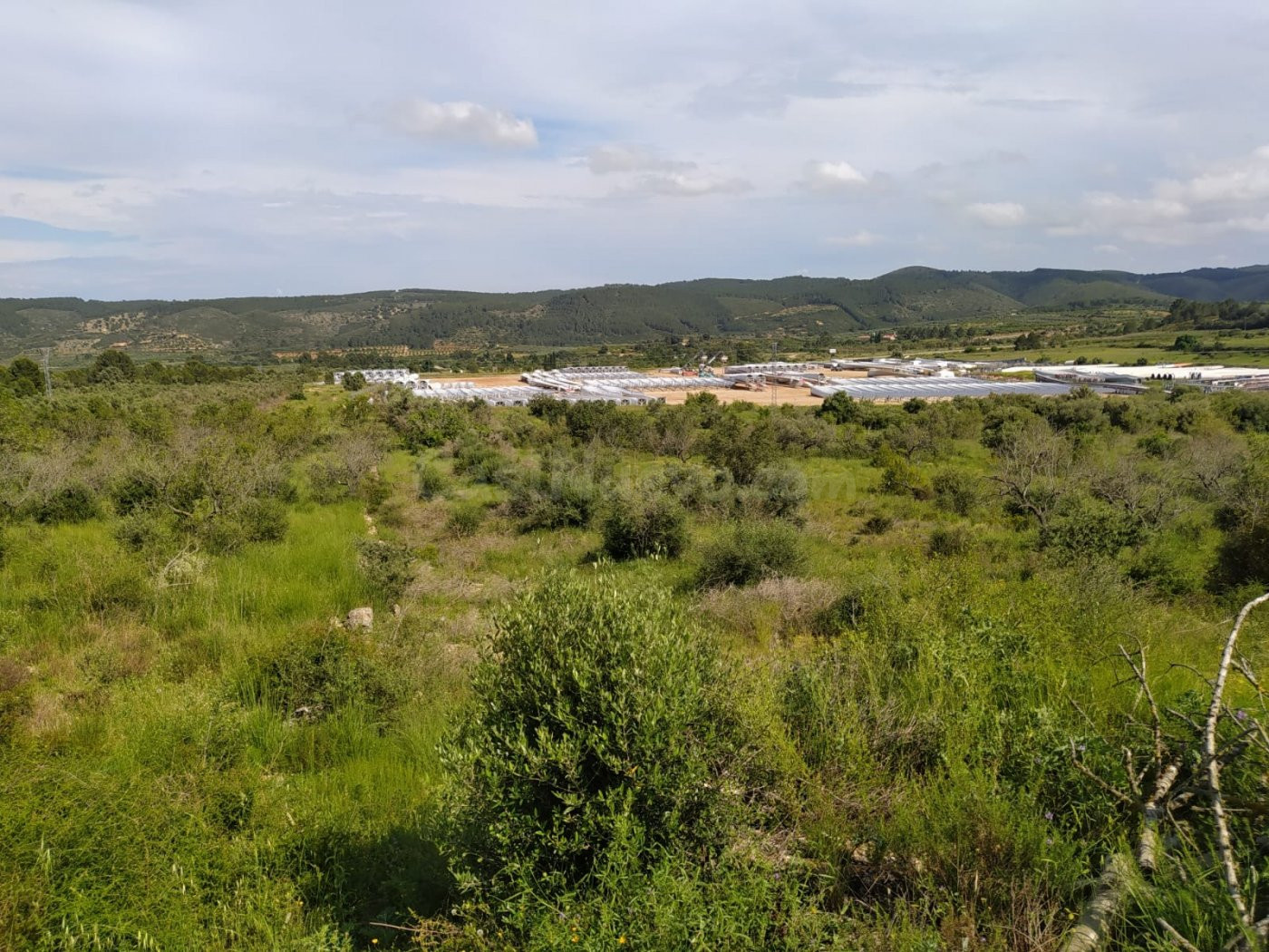 Parcela Industrial de 1.980 m2 en Les Coves de Vinroma - foto 3