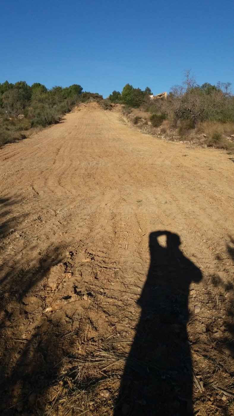 Parcela Industrial de 1.980 m2 en Les Coves de Vinroma - foto 5