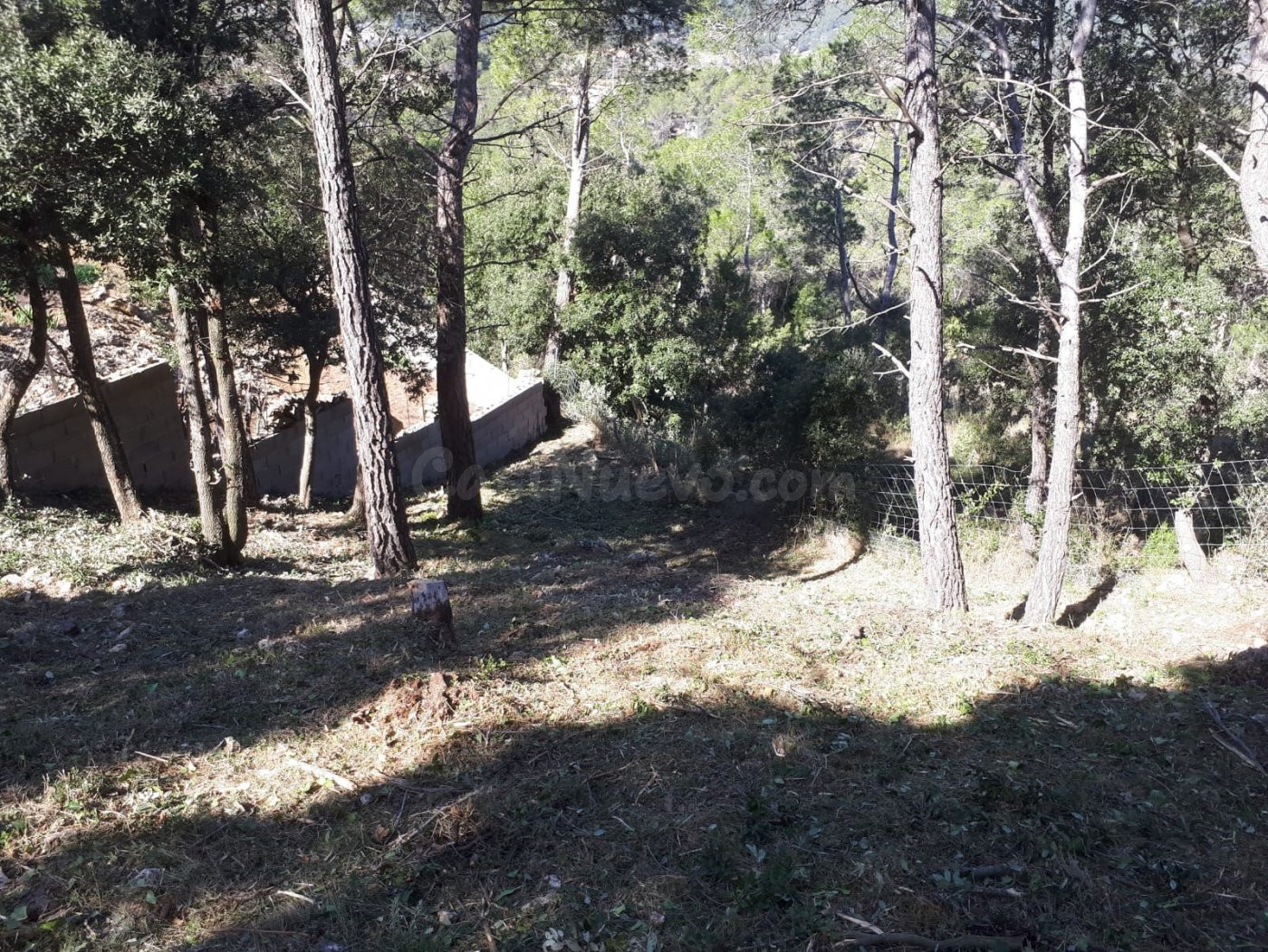 FANTASTICA PARCELA EN VENTA