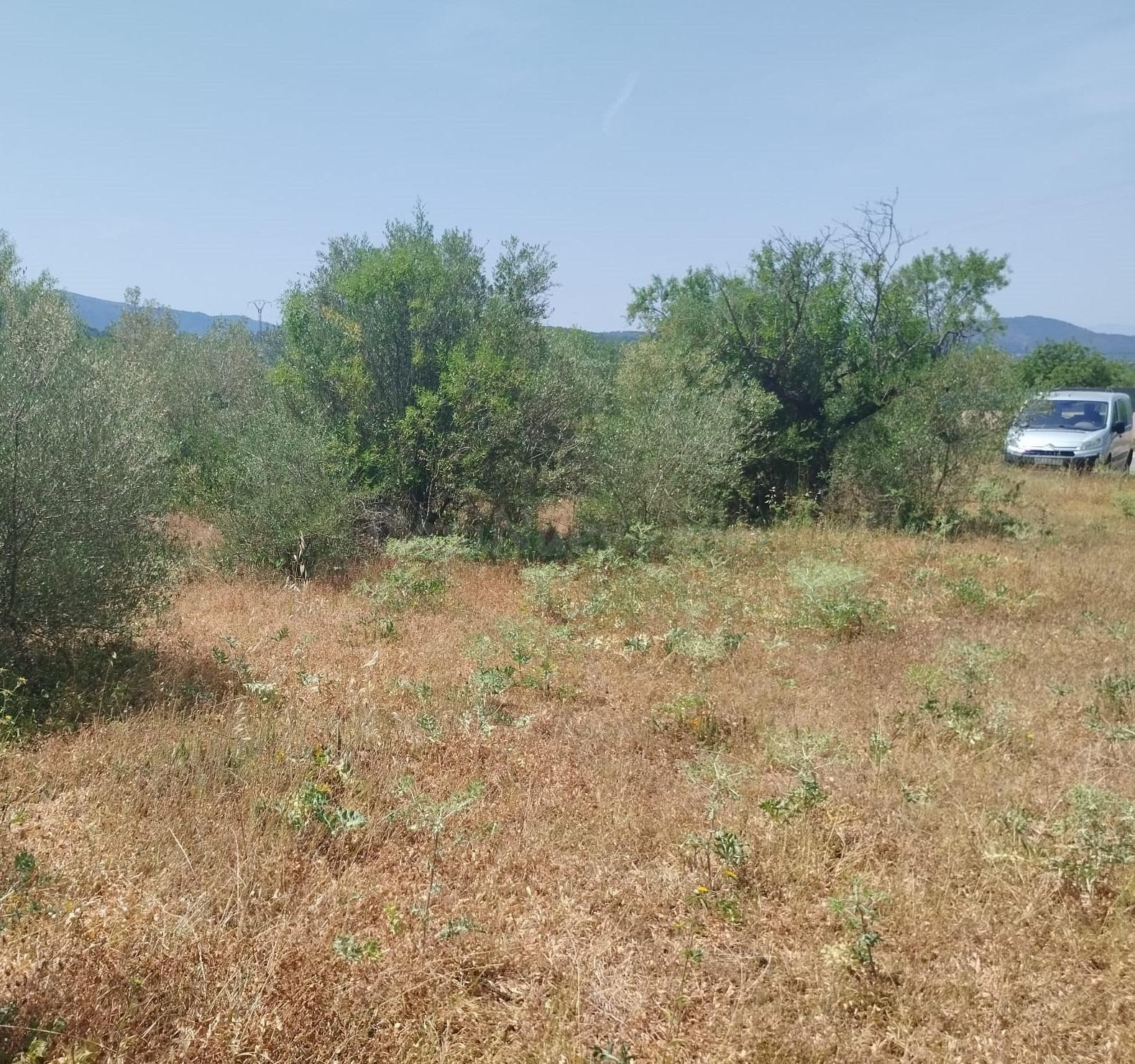 FINCA RÚSTICA EN VALL D´ALBA CASTELLÓN