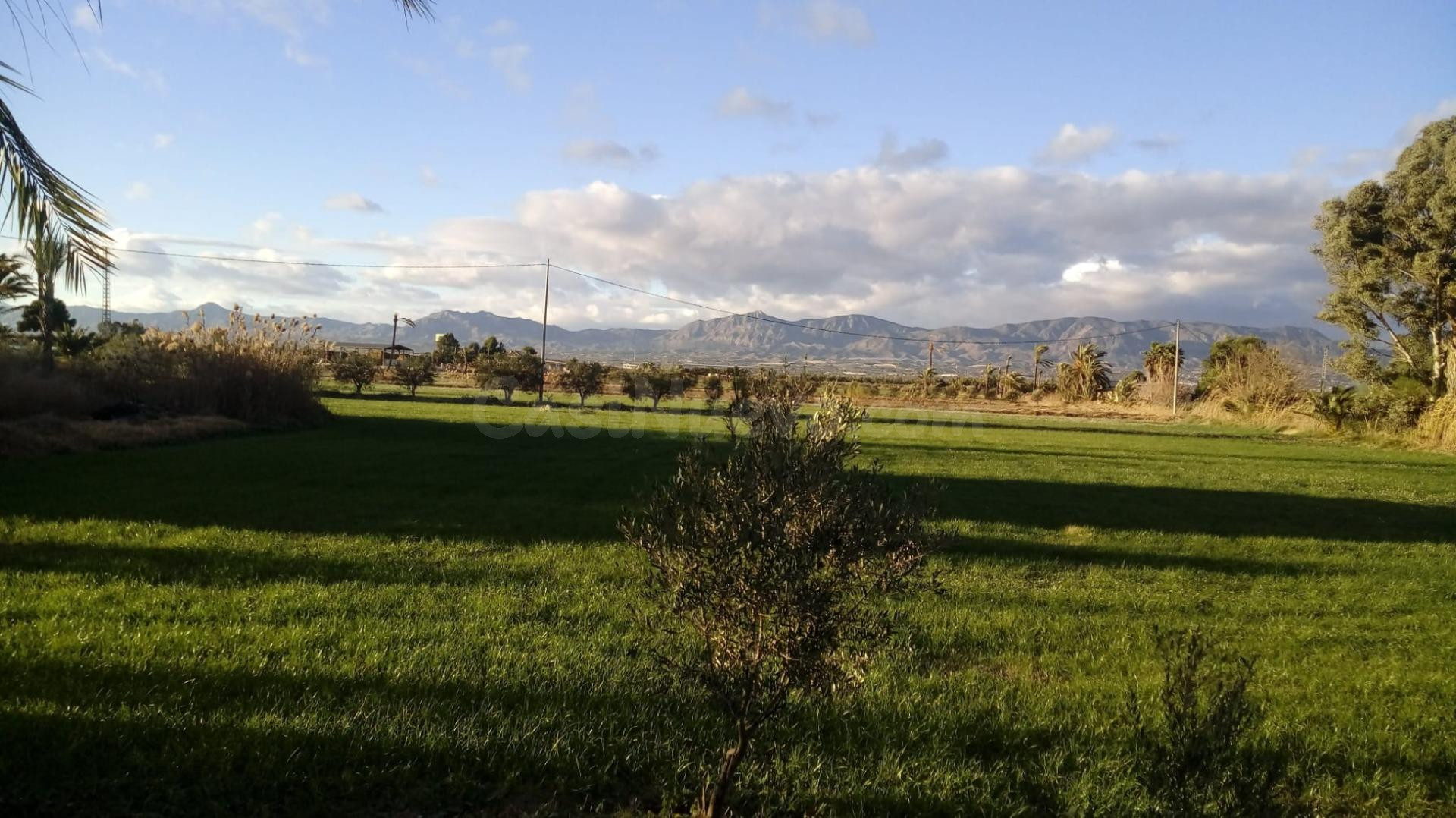 FINCAS RÚSTICAS EN CREVILLENT ALICANTE