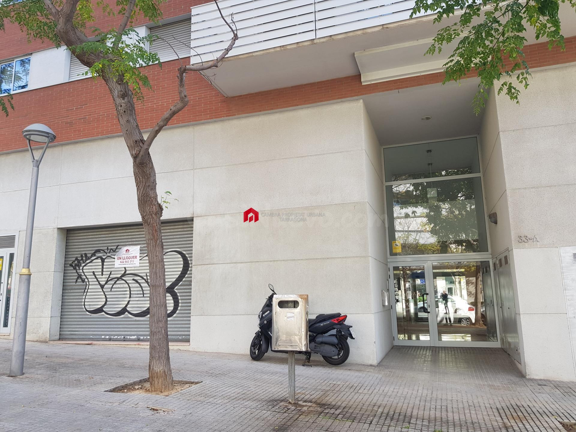 Local de 156 m2 delante del Campus Sescelades