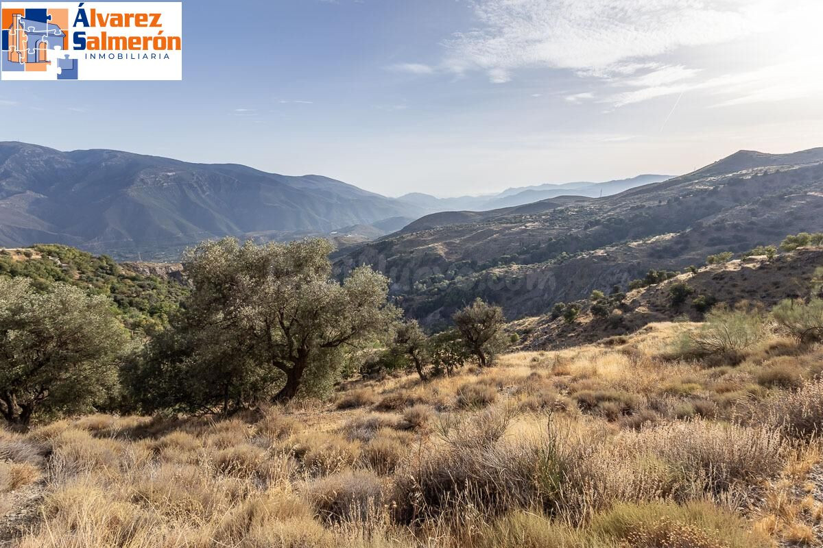 Terreno en Venta en la Alpujarra, Cañar: Oportunidad Única en Entorno Rural Encantador