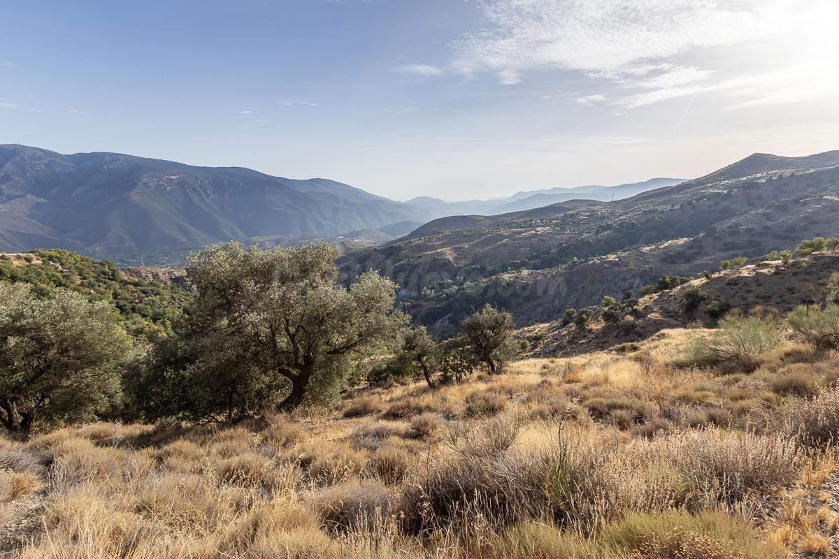 Terreno en Venta en la Alpujarra, Cañar: Oportunidad Única en Entorno Rural Encantador