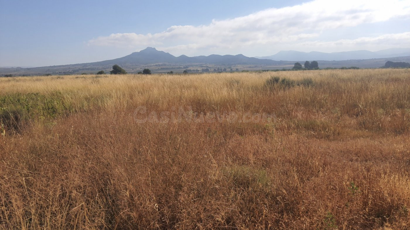 Parcela en venta - Crta. salinas-monovar
