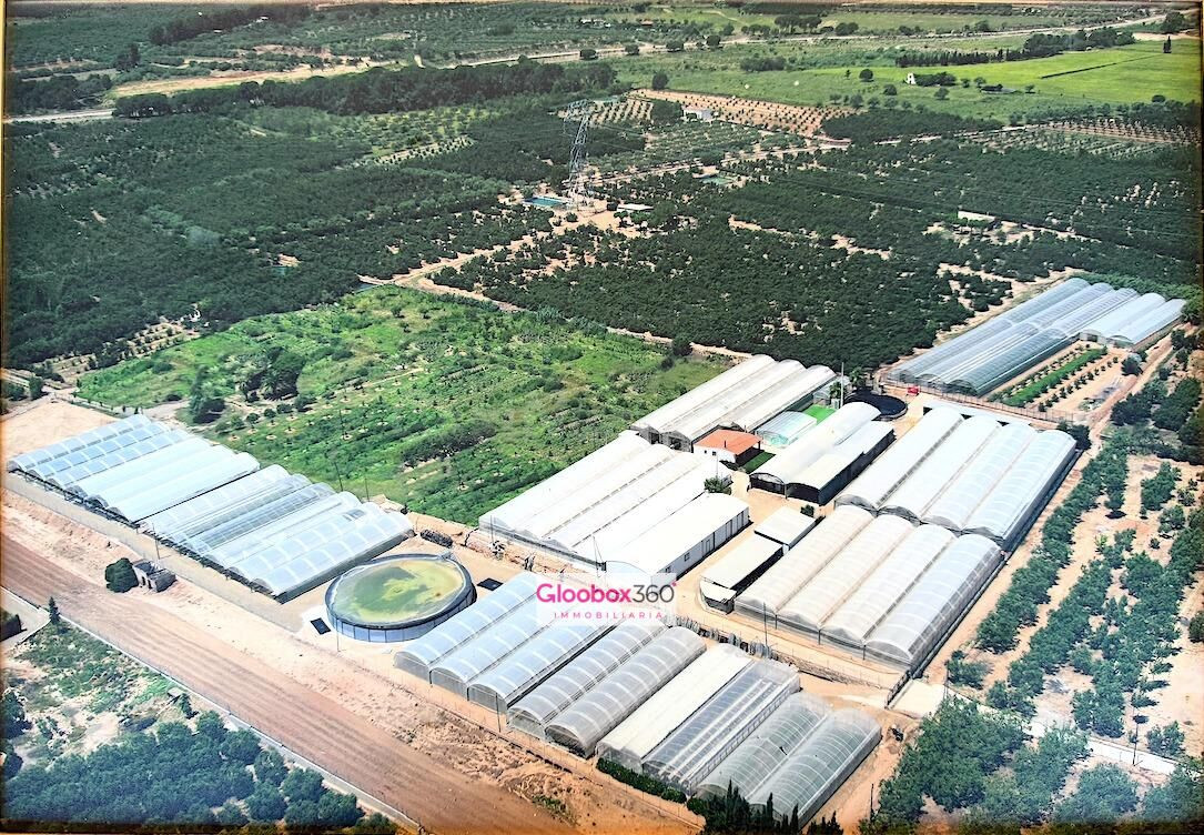 “Venta de explotación agrícola rentable: Infraestructura completa y operativa” más vivienda.