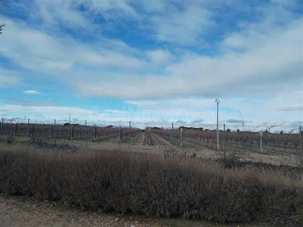 LOTE DE FINCAS RUSTICAS EN CODORNIZ, SEGOVIA