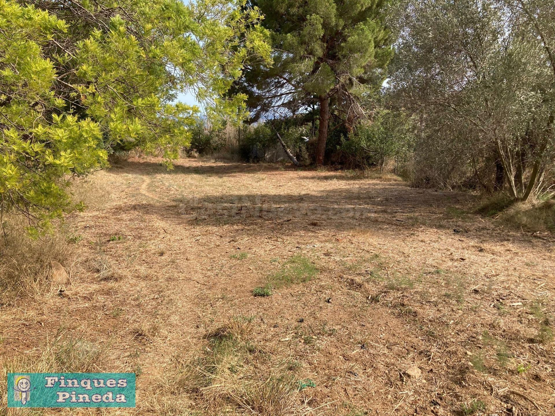 Finca Rustica en Pineda de Mar