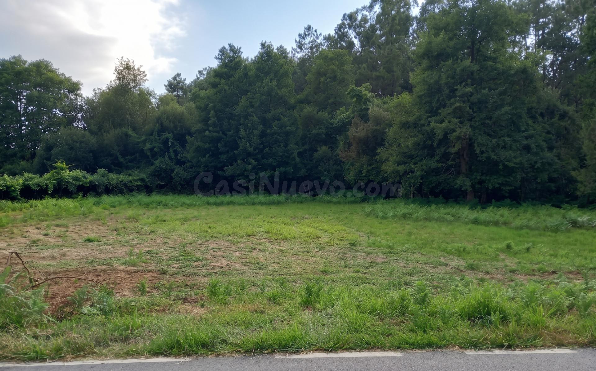 Tu vida a lo grande en Budiño: 2.400 m2 de finca, 451 m2 edificables y una oportunidad única por 35.000 €