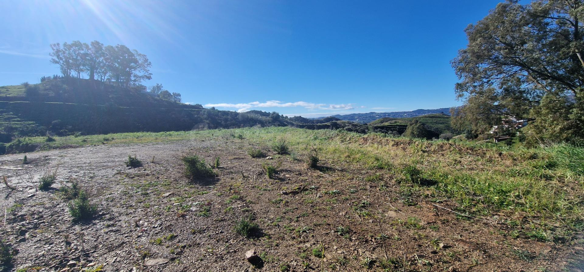 PURO CAMPO , PURA LUZ