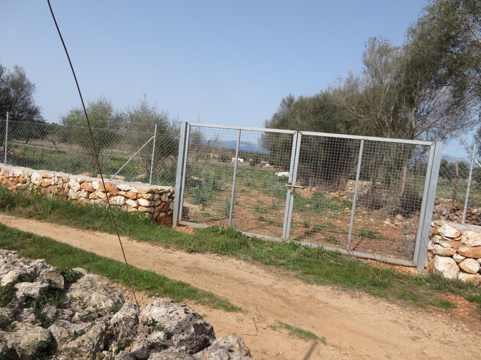 Finca rústica edificable entre Sineu y LLubí