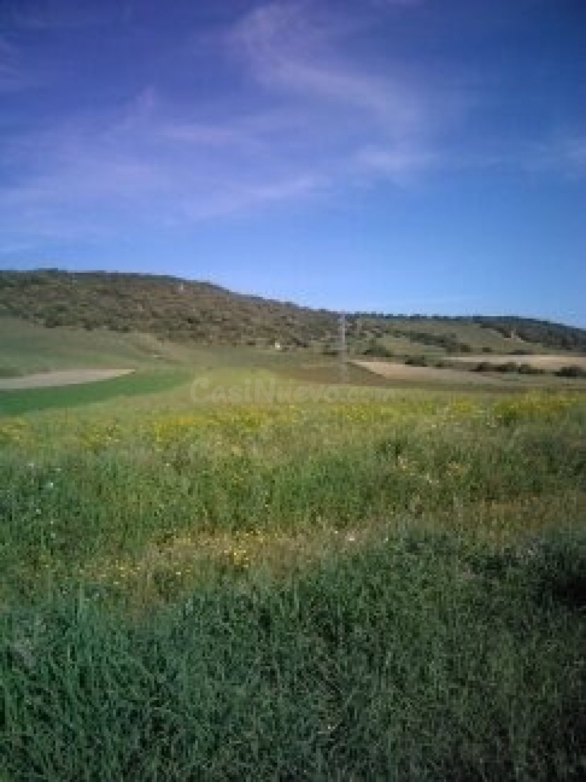 PARCELA JUNTO AL POLIGONO INDUSTRIAL CAÑADA ANCHA