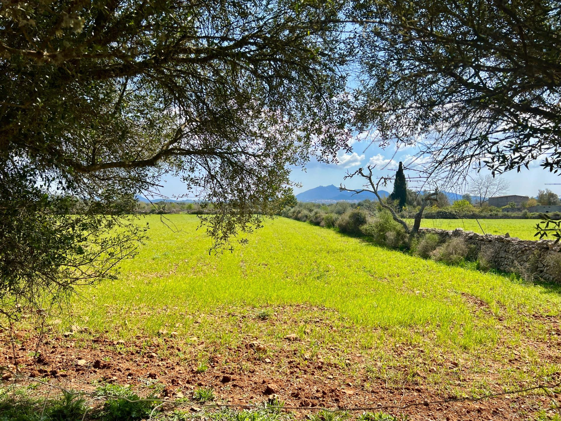 Finca rústica de 14.884 m2 entre Porreres y Felanitx con espectaculares vistas a Sant Salvador.