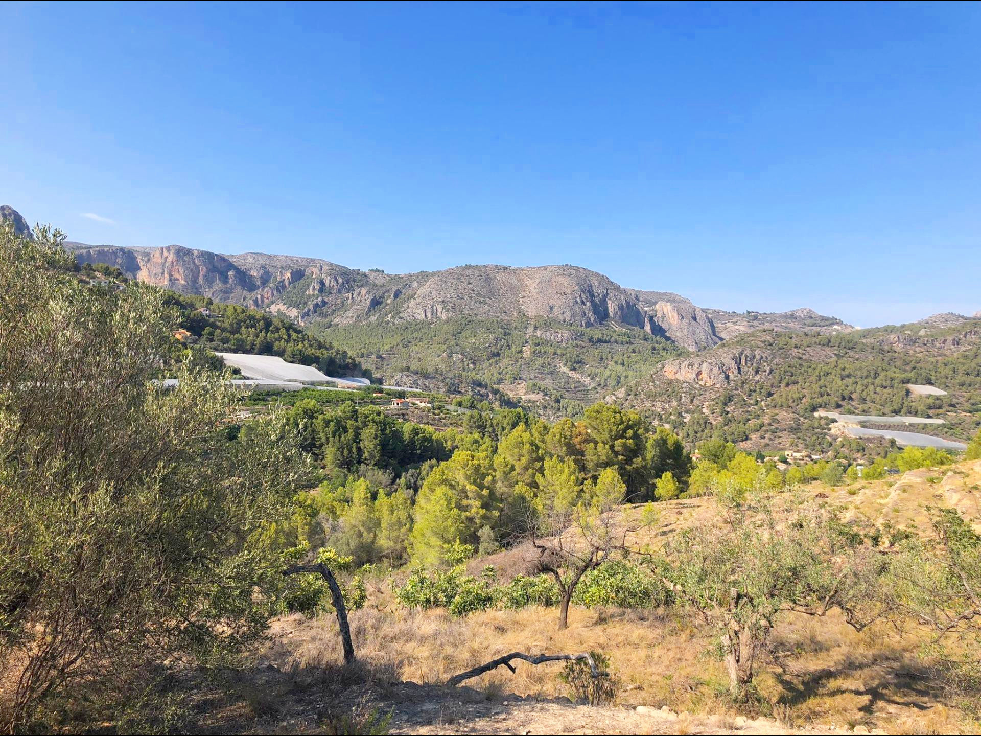 TERRENO RÚSTICO DE MÁS DE 10.000 M2  EN BOLULLA