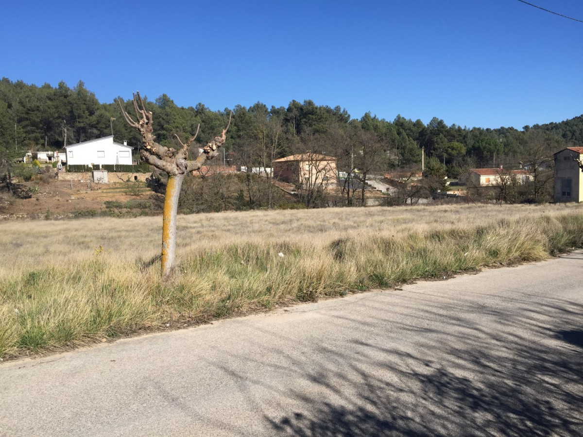 Terreno urbano en La Moixeta (La Juncosa de Montmell)