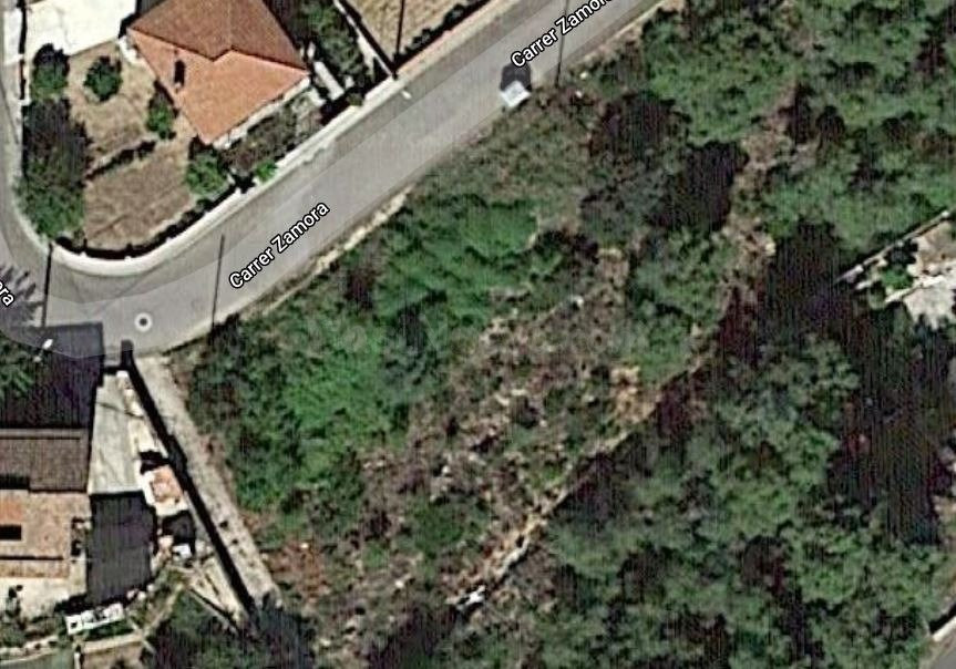 Terreno en la zona de la Bisbal del Penedés