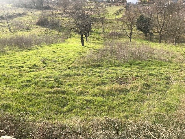 SE VENDE FINCA RUSTICA EN TORAL DE MERAYO.
