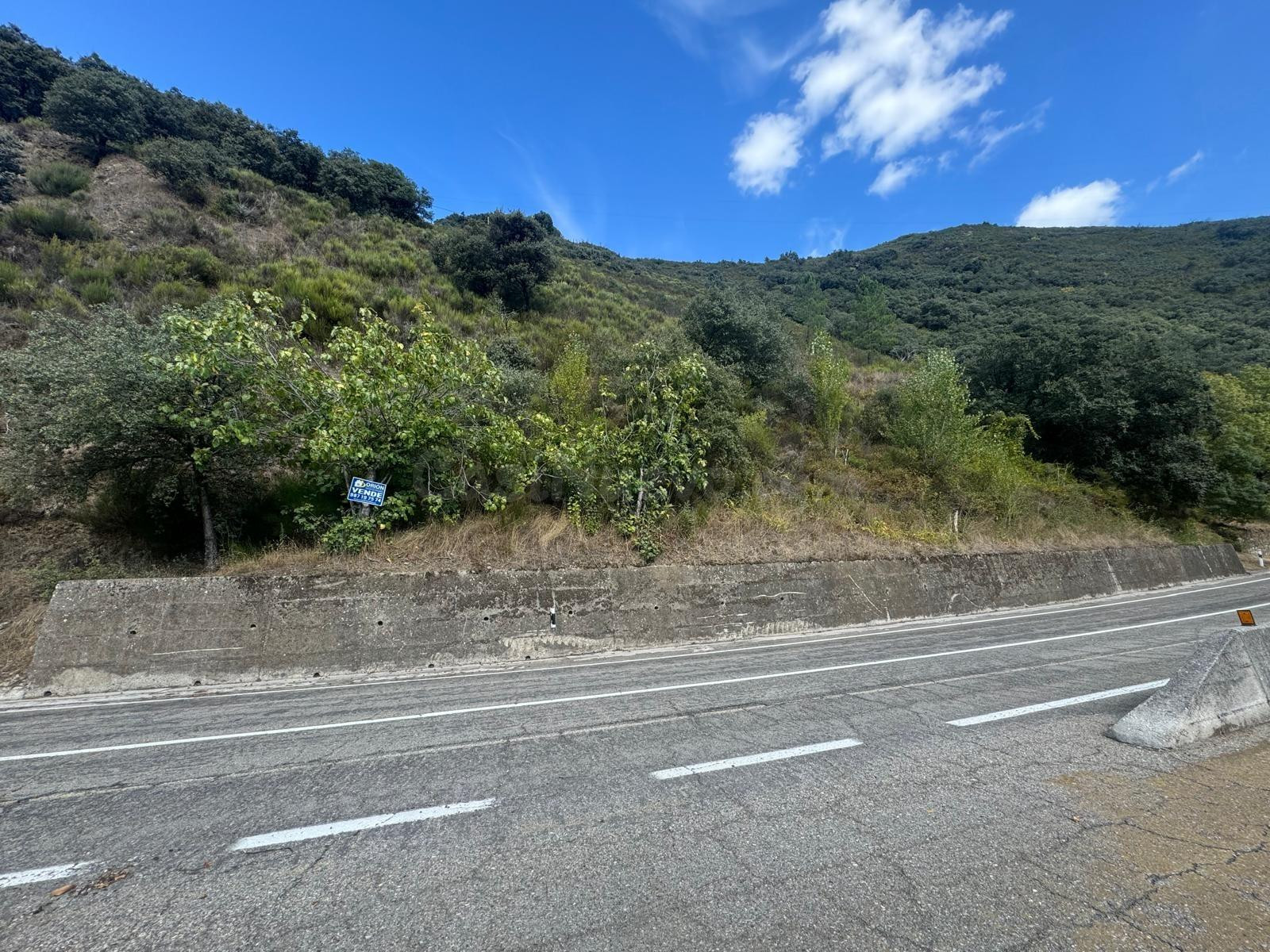 SE VENDE FINCA RUSTICA DE 79.900 M2 EN VILLAFRANCA DEL BIERZO