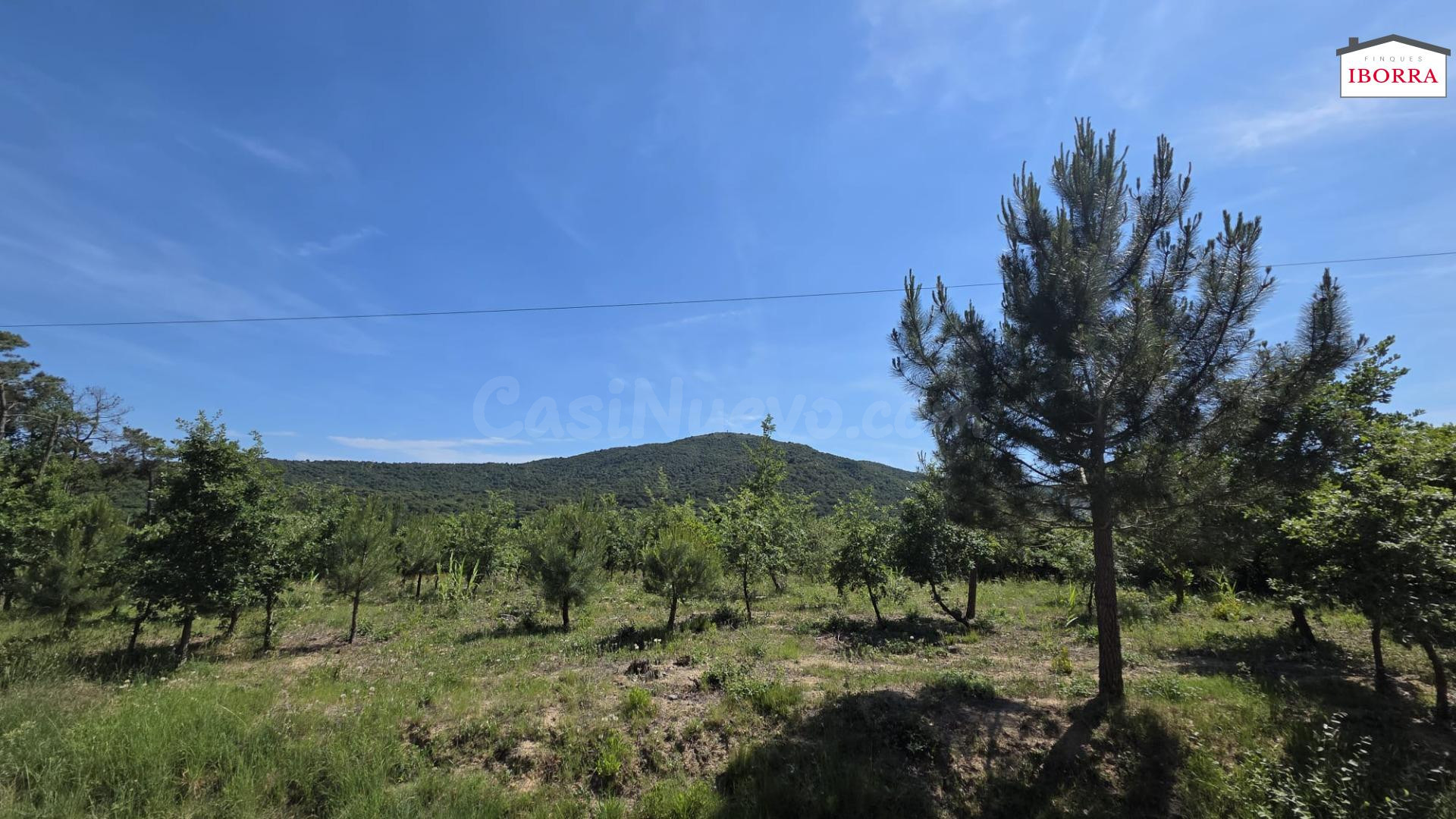 PARCELA EN EL BARRIO DE SAN ANDRES DE TORDERA