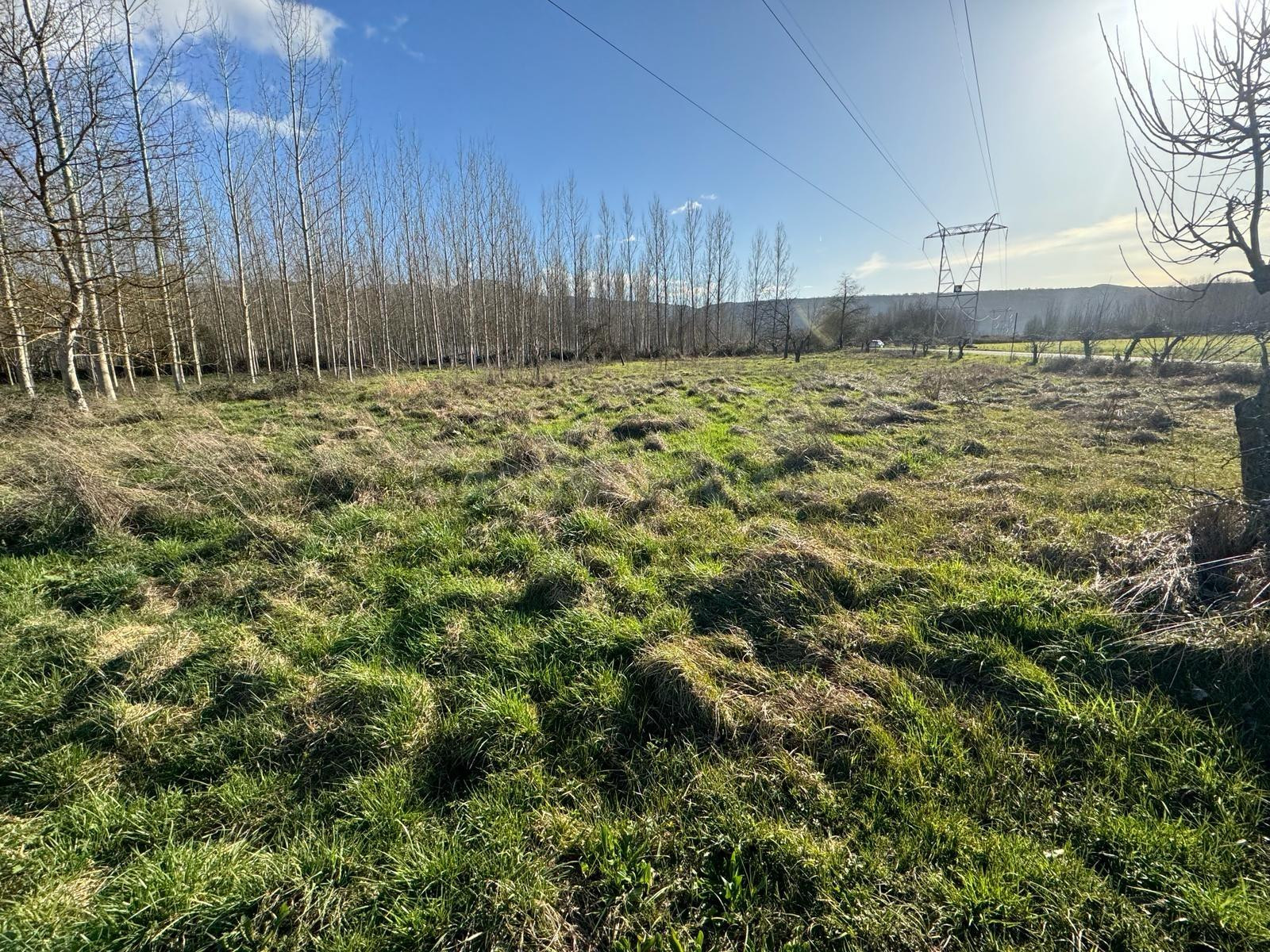 SE VENDE FINCA RÚSTICA EN DEHESAS