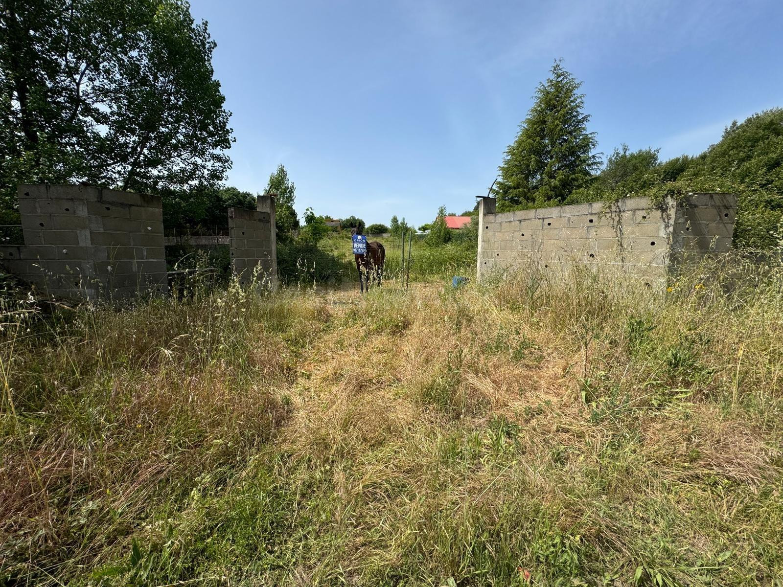 SE VENDE FINCA CERRADA RUSTICA EN SAN ANDRES DE MONTEJOS