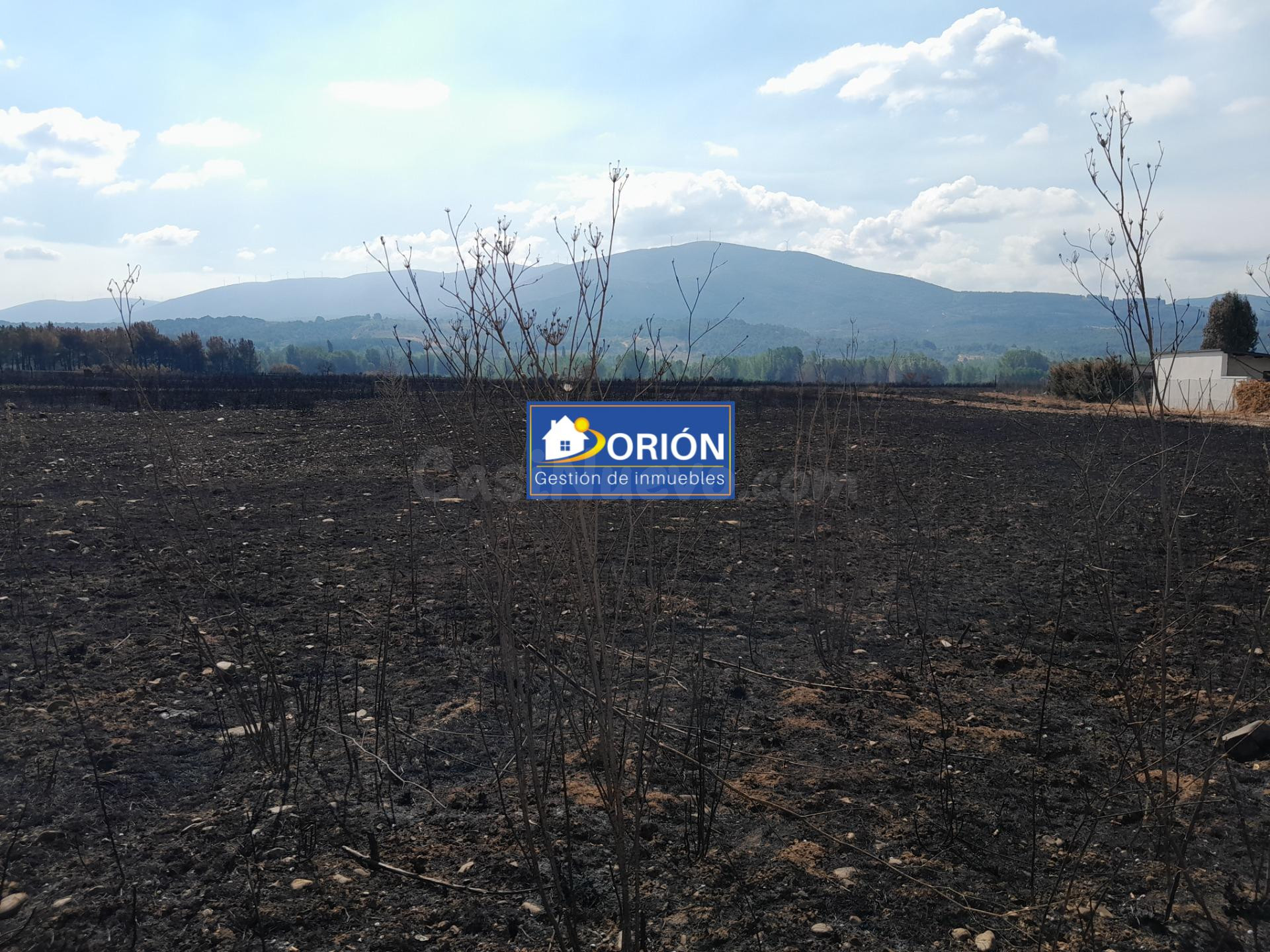 TERRENO URBANO Y RUSTICO EN ALMAZCARA. CONGOSTO