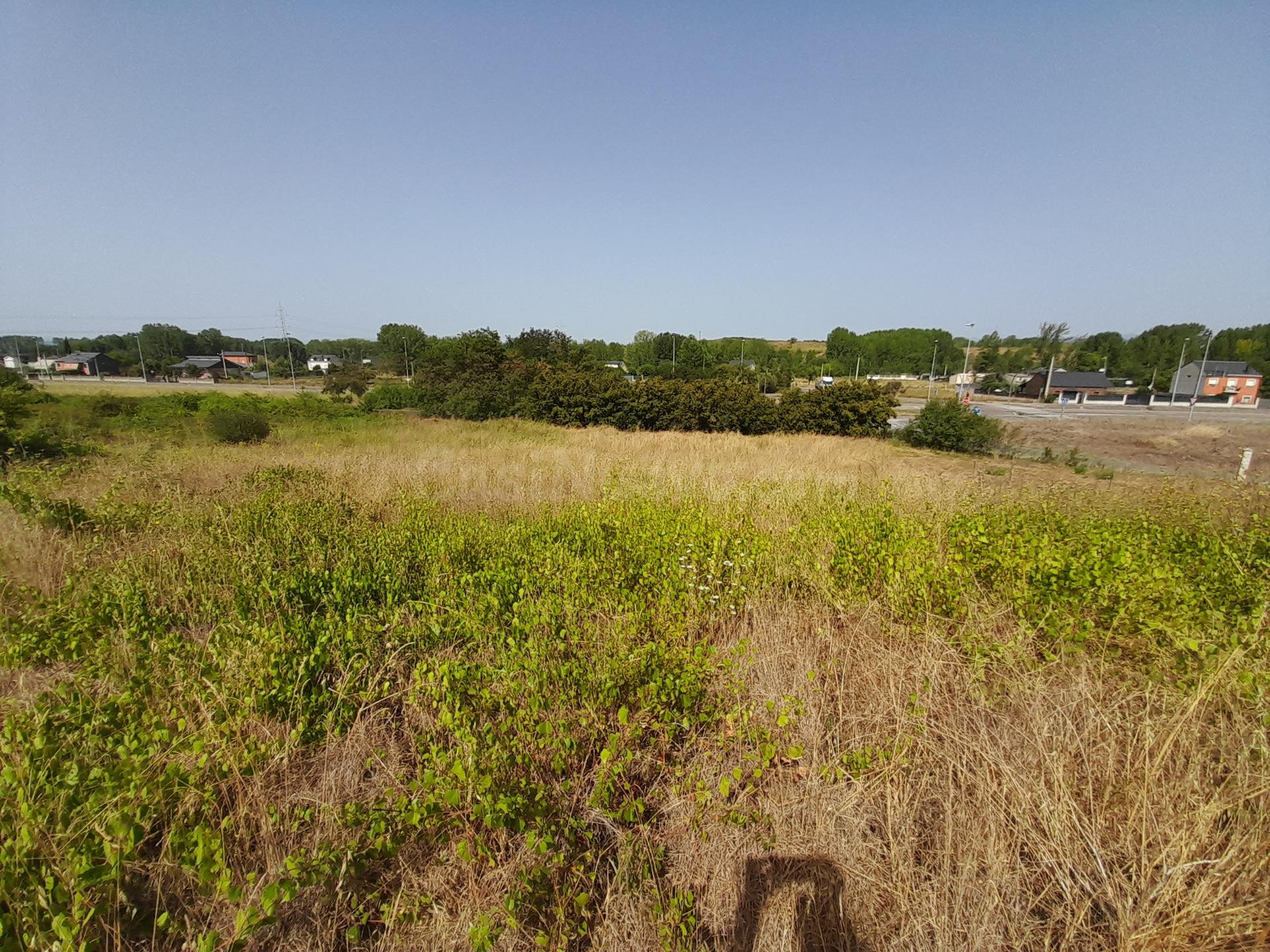 FINCAS URBANAS EN SAN ANDRES DE MONTEJOS